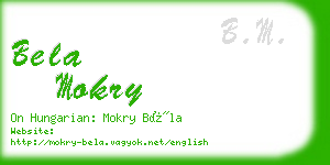 bela mokry business card